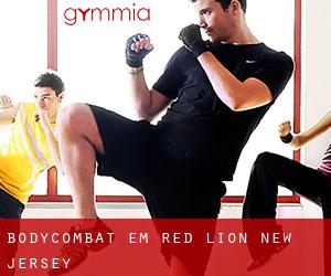 BodyCombat em Red Lion (New Jersey)