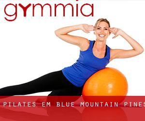 Pilates em Blue Mountain Pines