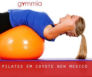 Pilates em Coyote (New Mexico)