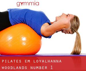 Pilates em Loyalhanna Woodlands Number 1 (Pennsylvania)