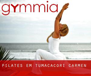 Pilates em Tumacacori-Carmen