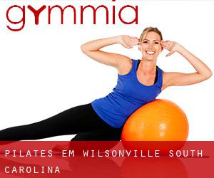 Pilates em Wilsonville (South Carolina)