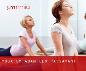 Yoga em Adam-lès-Passavant