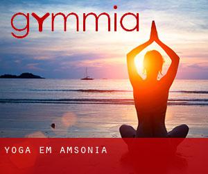 Yoga em Amsonia