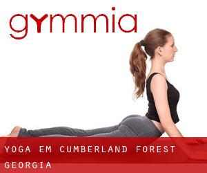 Yoga em Cumberland Forest (Georgia)
