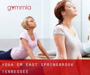Yoga em East Springbrook (Tennessee)
