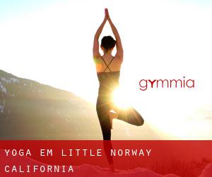Yoga em Little Norway (California)