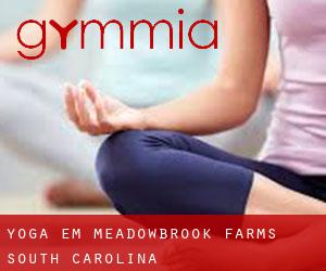 Yoga em Meadowbrook Farms (South Carolina)