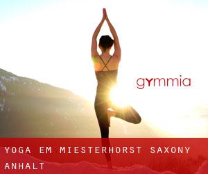 Yoga em Miesterhorst (Saxony-Anhalt)