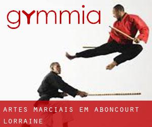 Artes marciais em Aboncourt (Lorraine)