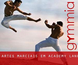 Artes marciais em Academy Lane