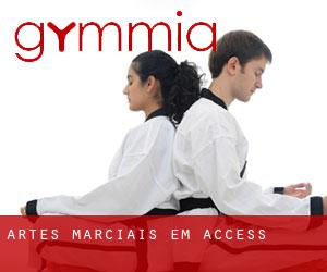 Artes marciais em Access