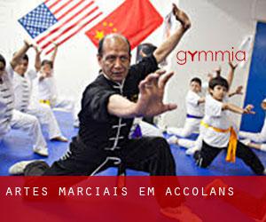 Artes marciais em Accolans