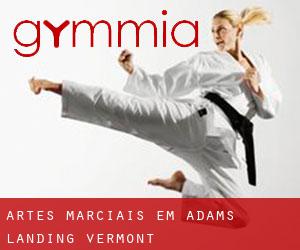 Artes marciais em Adams Landing (Vermont)