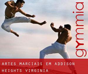 Artes marciais em Addison Heights (Virginia)
