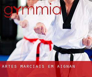 Artes marciais em Aignan