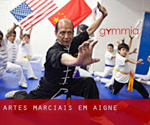 Artes marciais em Aigné
