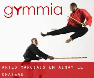Artes marciais em Ainay-le-Château