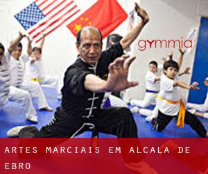 Artes marciais em Alcalá de Ebro