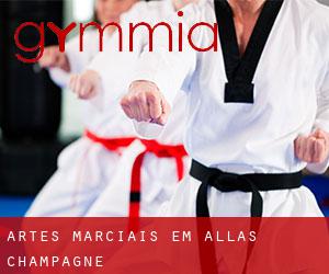 Artes marciais em Allas-Champagne