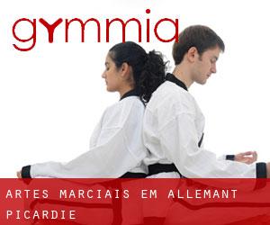 Artes marciais em Allemant (Picardie)