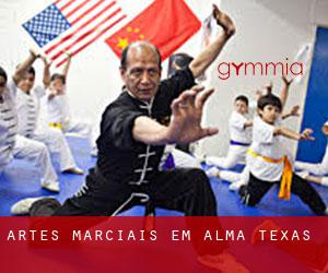 Artes marciais em Alma (Texas)