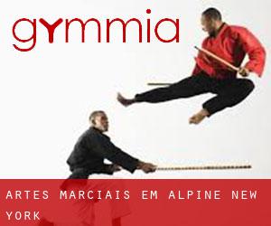 Artes marciais em Alpine (New York)