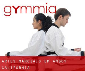 Artes marciais em Amboy (California)