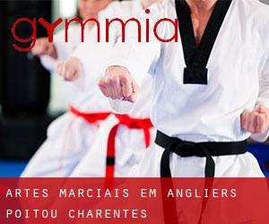 Artes marciais em Angliers (Poitou-Charentes)