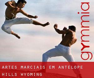 Artes marciais em Antelope Hills (Wyoming)