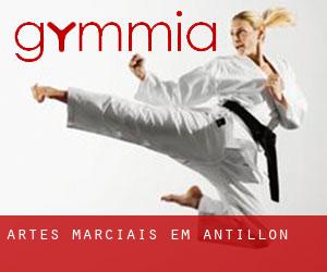 Artes marciais em Antillón
