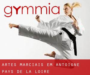 Artes marciais em Antoigné (Pays de la Loire)