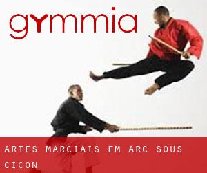 Artes marciais em Arc-sous-Cicon