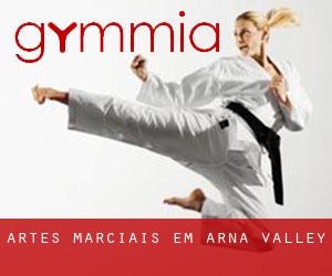 Artes marciais em Arna Valley