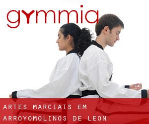 Artes marciais em Arroyomolinos de León
