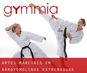 Artes marciais em Arroyomolinos (Extremadura)