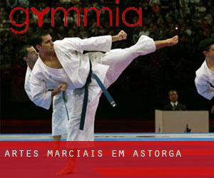 Artes marciais em Astorga