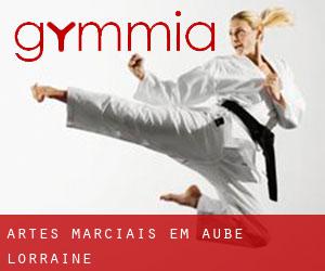 Artes marciais em Aube (Lorraine)