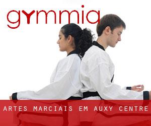 Artes marciais em Auxy (Centre)