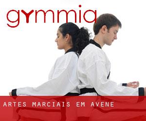 Artes marciais em Avène