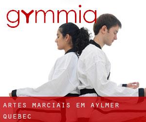 Artes marciais em Aylmer (Quebec)