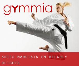 Artes marciais em Beeghly Heights