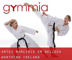 Artes marciais em Belleek (Northern Ireland)