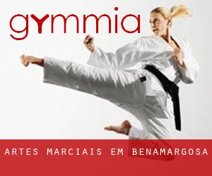 Artes marciais em Benamargosa