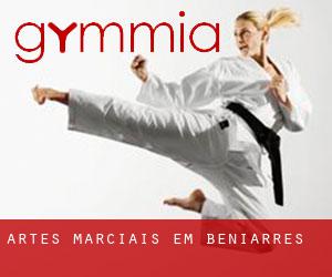 Artes marciais em Beniarrés