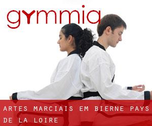 Artes marciais em Bierné (Pays de la Loire)