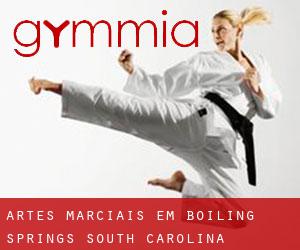 Artes marciais em Boiling Springs (South Carolina)