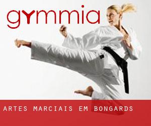 Artes marciais em Bongards