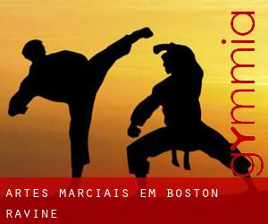 Artes marciais em Boston Ravine