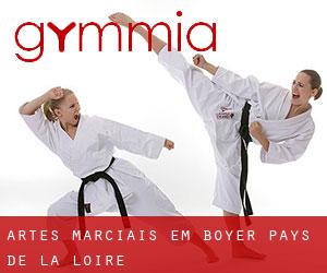Artes marciais em Boyer (Pays de la Loire)